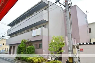 エリカIIIの画像