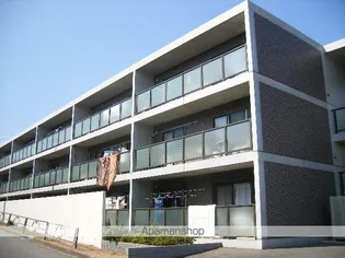 T M PLACEIの画像