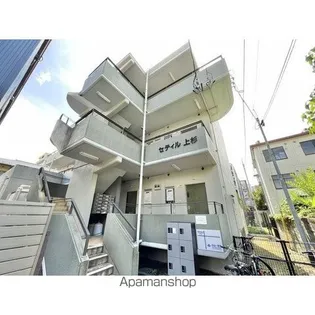 セティル上杉の画像