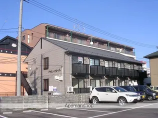 ブッシュ クローバーの画像