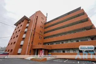 和泉パールハイツの画像