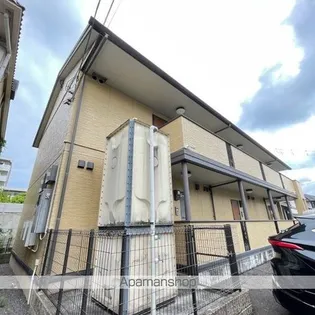 グレースランド アイの画像