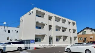 ESTELAの画像