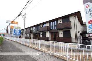 エバーグリーンの画像