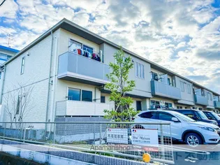 フェリシード サリーチェの画像