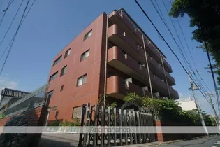 LA RIVIERE OKAMOTOの画像