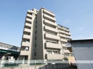 GRANPINO柴原の画像