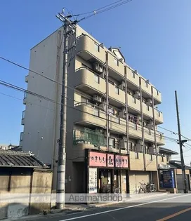 エクセレントサカキの画像