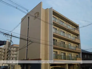 T'S IZUMIの画像