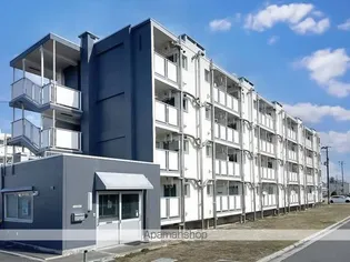 ビレッジハウス亀田3号棟【2階】の外観