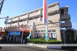 マルベリーコートの画像