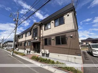 ウィルモア レラの画像