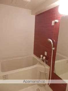 NO.82 CLUB ORIENT BLD.EMPRESS【3階】の風呂