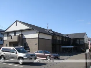 ピアチェーレの画像