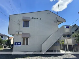 タウニィMの画像