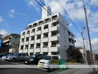 ベルシティ旭ヶ丘【407号室】の外観