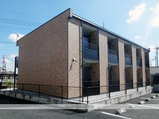 レオネクストフォセットの画像