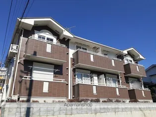 アクシーヌの画像