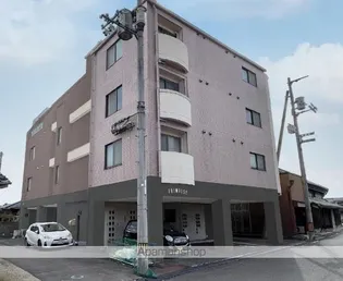 プリムローズの画像