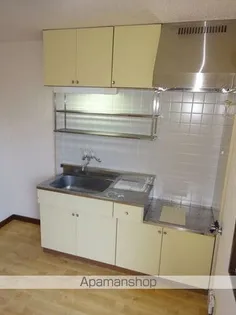 グリーンヒル【206号室】のキッチン