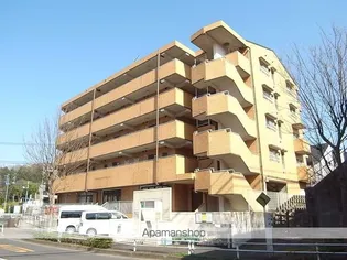 諏訪ハイム13の画像