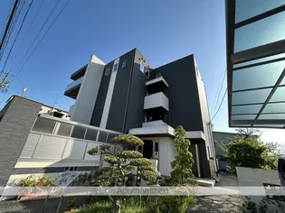 SKY Eつげの木の画像