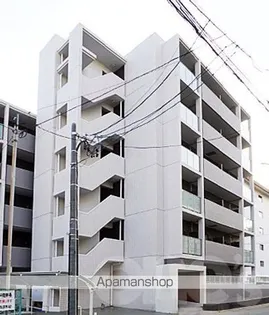 アイボリーの画像