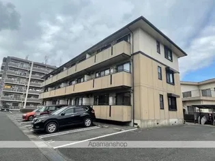 グローリー中村の画像