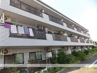 ハイツリバーランド【203号室】の外観