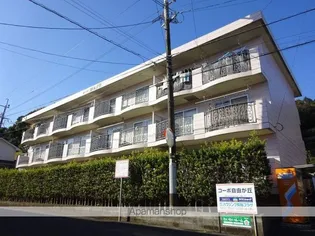 コーポ自由が丘【1C号室】の外観