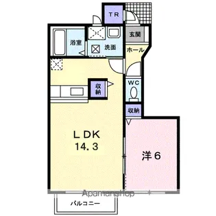スカイピア文京1 C棟【1階】の間取り