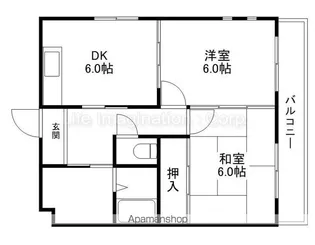 ニュー大将軍松兼Ⅱ【506号室】の間取り