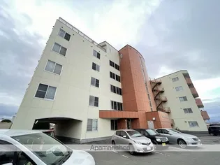 ファンデーションⅡの画像