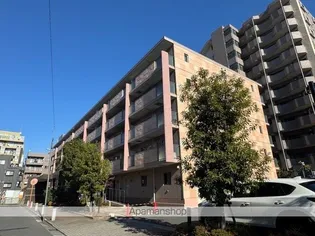 セレリーオ ニッコーの画像