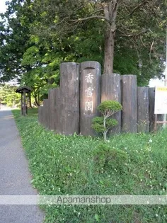 チェリーブロッサム日吉【201号室】の周辺