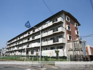 隆豊ハイツ【1階】の外観