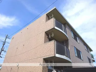 セルジェ上杉の画像