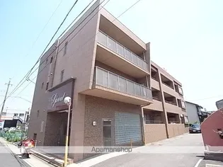 スプラウトの画像