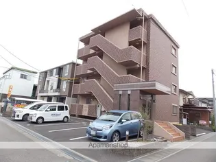 ロリアンの画像