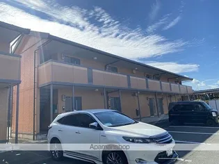 ウィルモア Dの画像