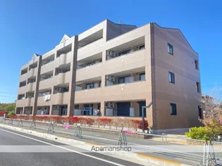 ペアウッドの画像