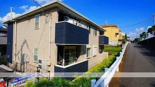 グレイスの画像