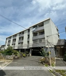 ミドゥスジⅠの画像