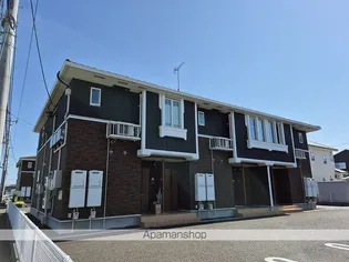 プラシードIの画像