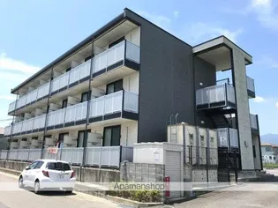 ペルーラ春風の画像