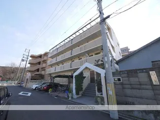 サンダンケの画像