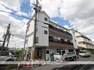 ルーチェイワフネの画像