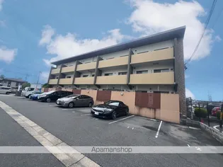 BELVEDEREの画像