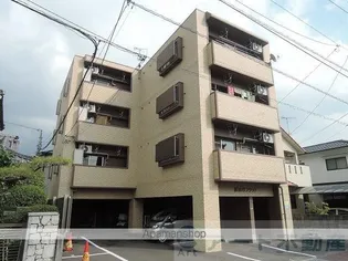 第98杉フラットの画像