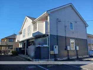 プリムローズの画像